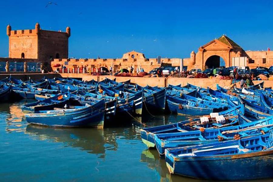 Day Trip to Essaouira